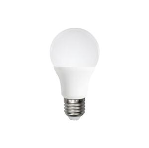 B.V. LED Izzó A60 E27/12W/230V 6500K