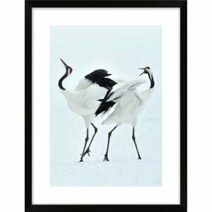 Kép 30x40 cm Dancing Herons