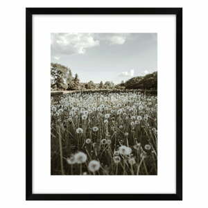 Kép 40x50 cm Meadow