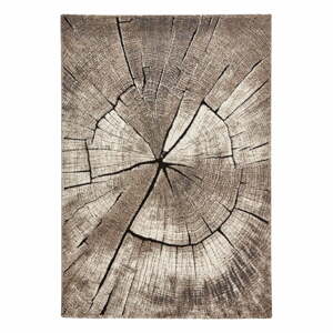 Bézs szőnyeg 230x160 cm Woodland - Think Rugs